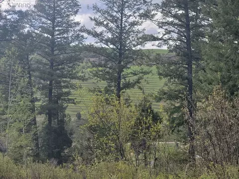 L31b4 Cutthroat Run, Irwin, ID 83428 photo 9