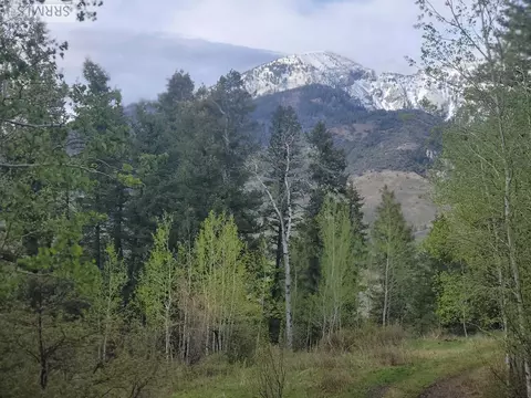 L31b4 Cutthroat Run, Irwin, ID 83428