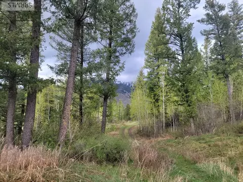 L31b4 Cutthroat Run, Irwin, ID 83428 photo 4
