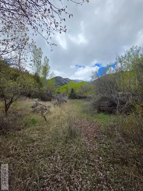 N/a Oliver Drive, Salmon, ID 83467