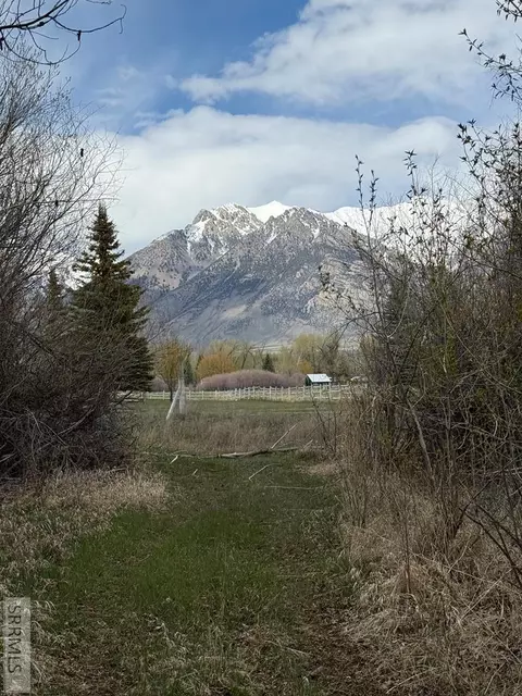 4333 Houston Rd, Mackay, ID 83251