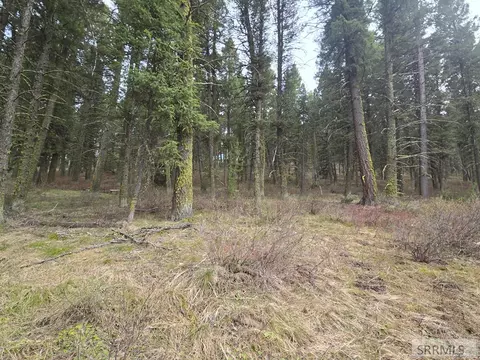 3548 Aspen Dr, Island Park, ID 83429