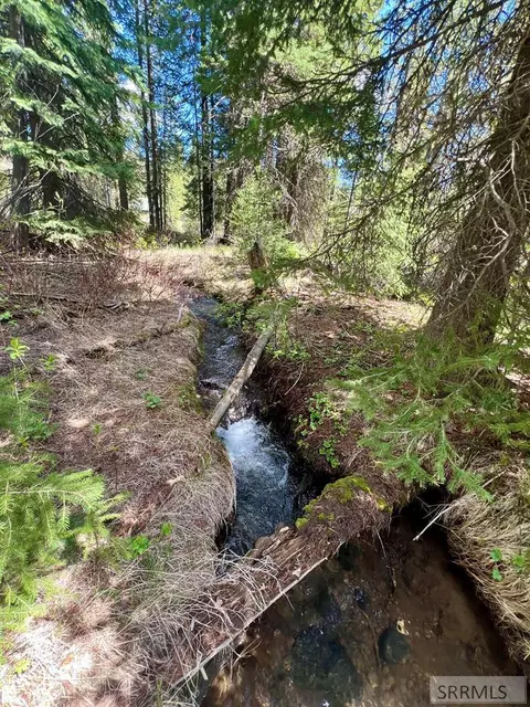 3549 Browning Rd, Island Park, ID 83429
