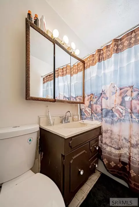 Bath - 143 Dove Ave, Rigby, ID 83442 photo 3 of 3