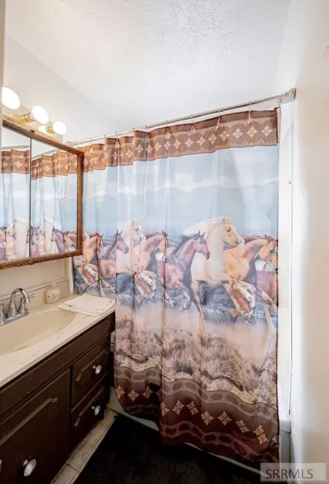Bath - 143 Dove Ave, Rigby, ID 83442 photo 1 of 3