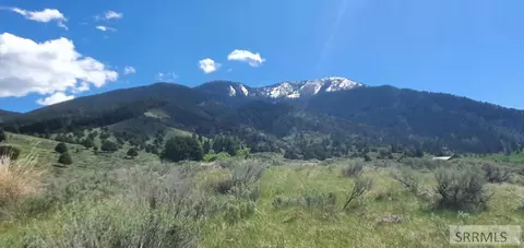 151 Elk Path, Swan Valley, ID 83428