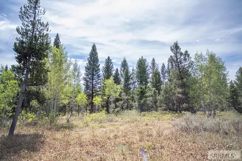2819 NE Sagehen Dr, Island Park, ID 83429