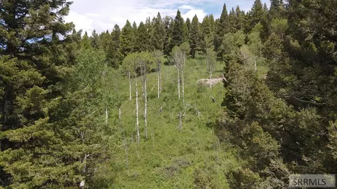 4907 Shadow Wood, Island Park, ID 83429
