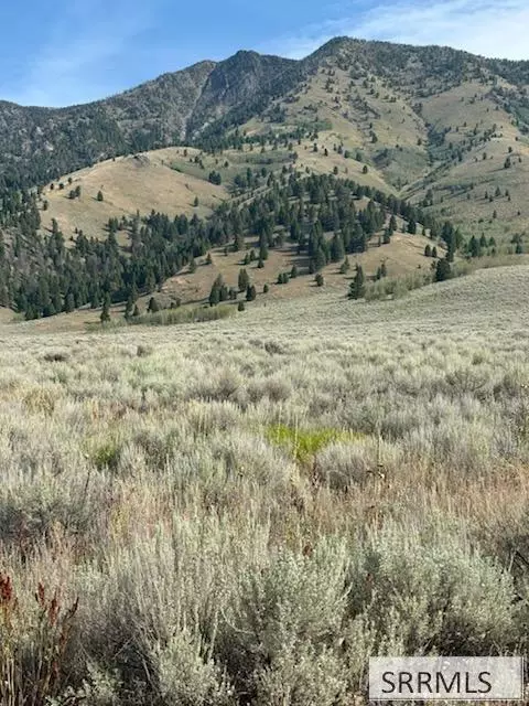 3690 Targhee Cir, Island Park, ID 83429