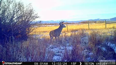 Other - tbd S Bates Rd, Driggs, ID 83422 photo 24 of 25