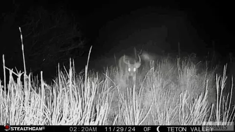 Other - tbd S Bates Rd, Driggs, ID 83422 photo 22 of 25