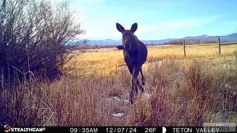 Other - tbd S Bates Rd, Driggs, ID 83422 photo 21 of 25