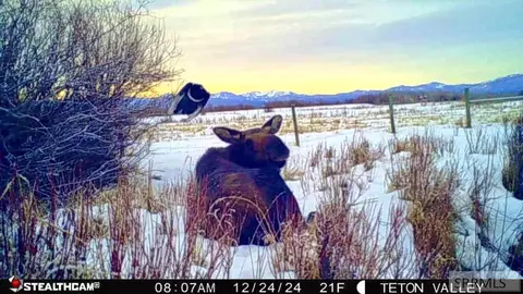 Other - tbd S Bates Rd, Driggs, ID 83422 photo 23 of 25