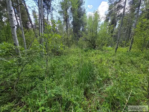 4585 E 1400 N, Ashton, ID 83420 photo 17
