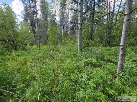 4585 E 1400 N, Ashton, ID 83420 photo 18