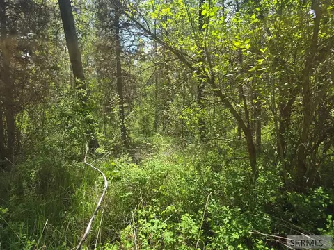 4585 E 1400 N, Ashton, ID 83420 photo 16