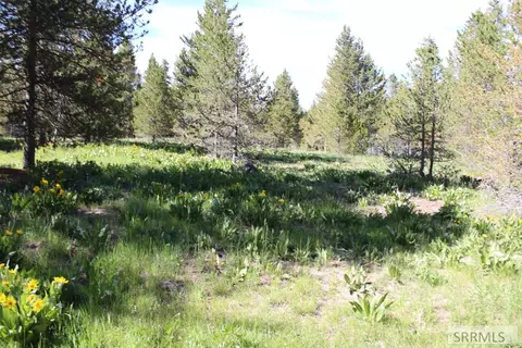 0000 N Buffalo Dr, Island Park, ID 83429