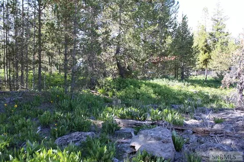 0001 N Buffalo Ln, Island Park, ID 83429