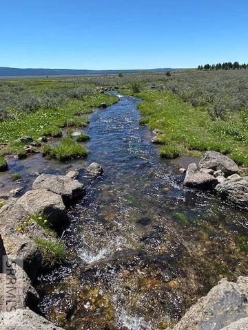 2875 Morning Dew Dr, Island Park, ID 83429