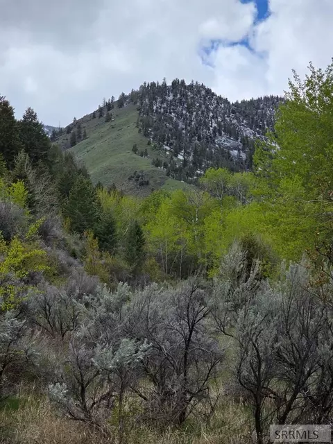 tbd Oliver Dr, Salmon, ID 83467 photo 11
