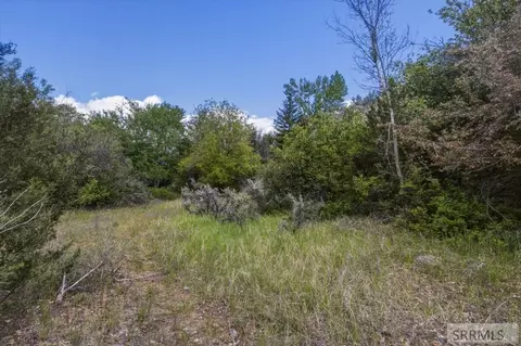 tbd Oliver Dr, Salmon, ID 83467 photo 27
