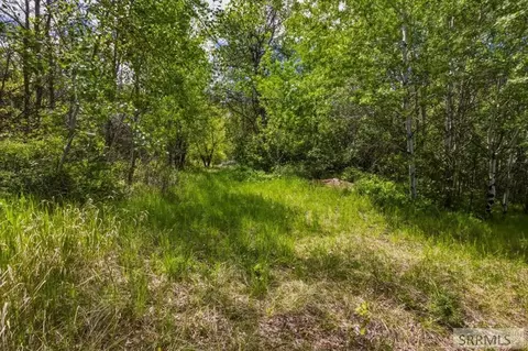 tbd Oliver Dr, Salmon, ID 83467 photo 2