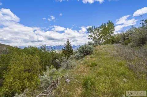 tbd Oliver Dr, Salmon, ID 83467 photo 8