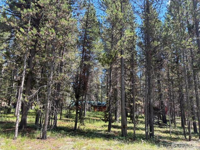 3884 F St, Island Park, ID 83429