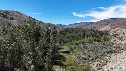 tbd E Fork Rd, Clayton, ID 83227 photo 18
