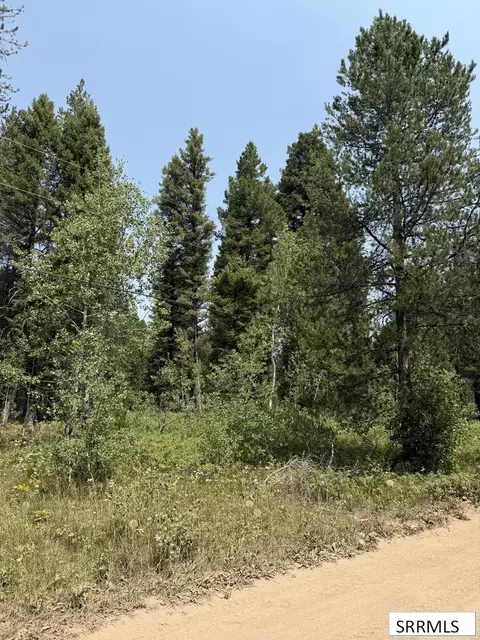 2781 Sagehen Dr, Island Park, ID 83429