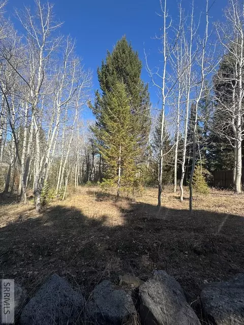 4788 Balsam St, Island Park, ID 83429