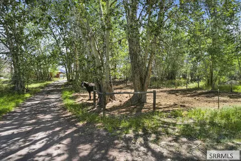 Exterior - 6258 Bartlett Point Rd, Mackay, ID 83251 photo 3 of 6