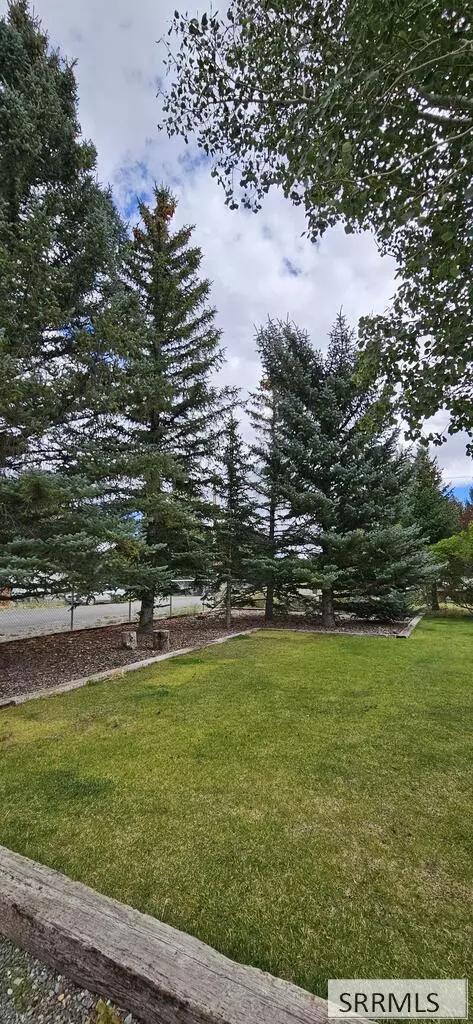 707 Forest Dr, Mackay, ID 83251 photo 23