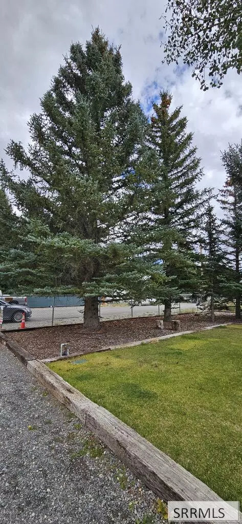 707 Forest Dr, Mackay, ID 83251 photo 22
