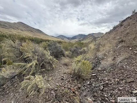 lot63 64 Burden Rd, Salmon, ID 83467 photo 3