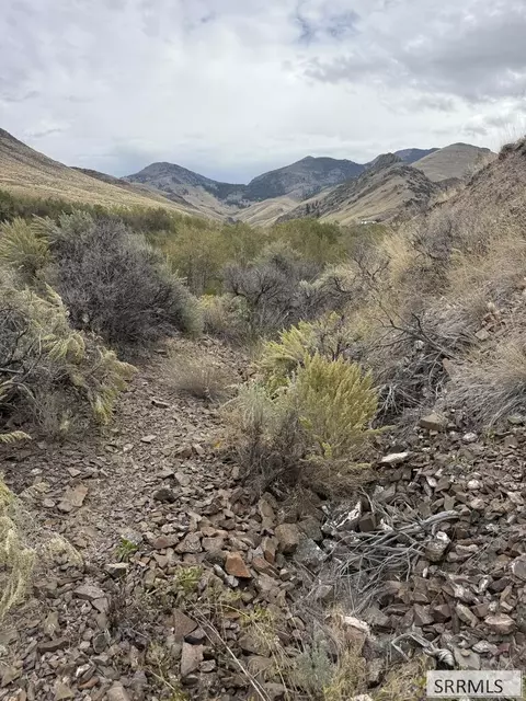 lot63 64 Burden Rd, Salmon, ID 83467 photo 6