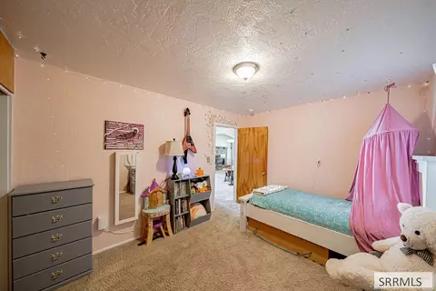 Other - 283 W 1st S, Rigby, ID 83442 photo 4 of 7