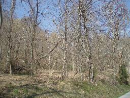 1265 Thompson Hl, Bethpage, TN 37022 photo 3