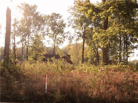 409 Sycamore Dr, Springfield, TN 37172 photo 2