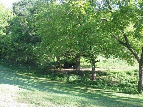2630 Little Texas Rd, Goodspring, TN 38460 photo 19