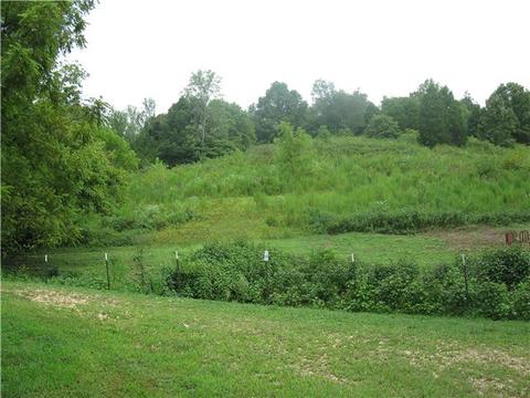 2630 Little Texas Rd, Goodspring, TN 38460 photo 7