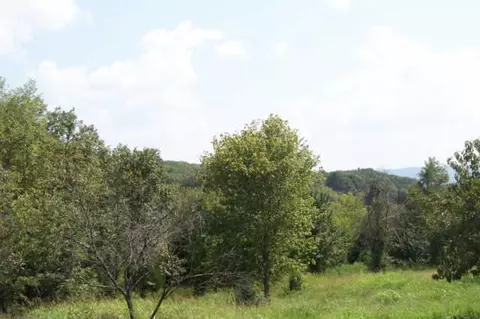 260 Bailey Rd, Decherd, TN 37324 photo 13