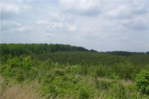 779 Waterloo Rd, Westpoint, TN 38486 photo 5