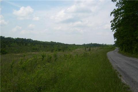 779 Waterloo Rd, Westpoint, TN 38486 photo 3