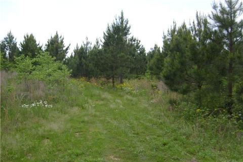 779 Waterloo Rd, Westpoint, TN 38486 photo 4
