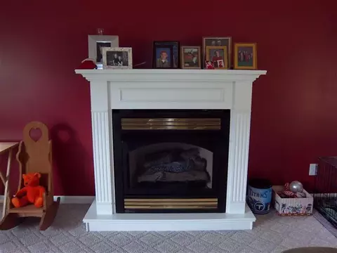 102 Henry Sharp Rd, Hohenwald, TN 38462 photo 9