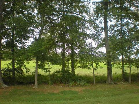 200 Hickory Pointe, Dickson, TN 37055 photo 20