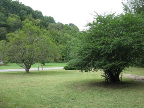 1249 Dog Branch Rd, Goodspring, TN 38460 photo 8