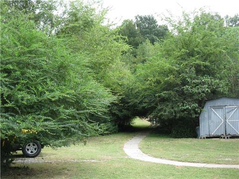 1249 Dog Branch Rd, Goodspring, TN 38460 photo 18