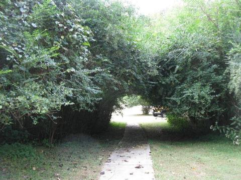 1249 Dog Branch Rd, Goodspring, TN 38460 photo 6